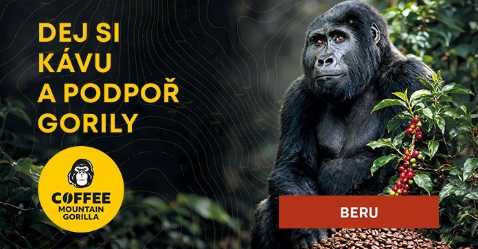Coffee Mountain Gorilla