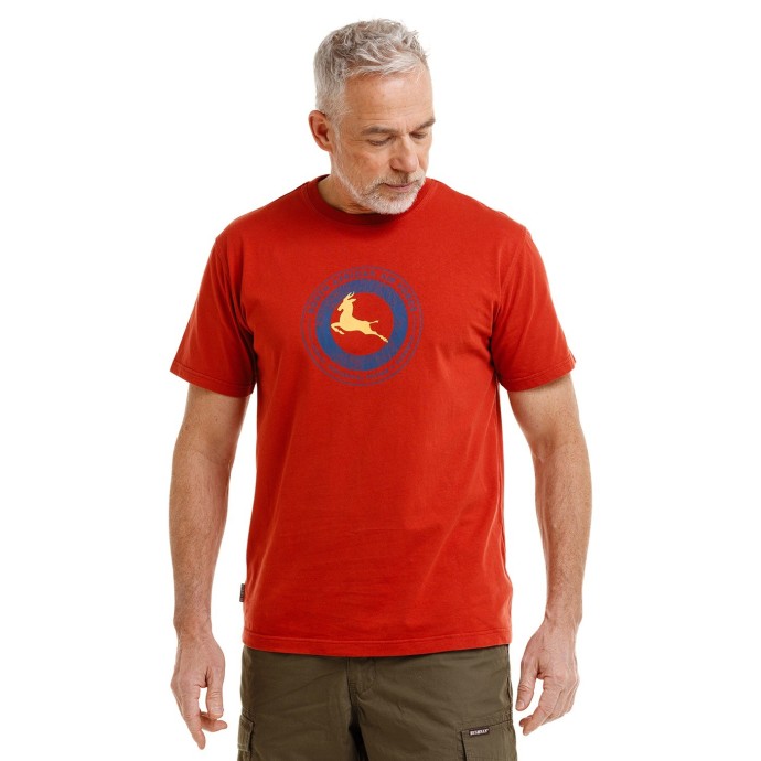 Bushman tirčko Moor, terracotta