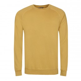 surrey_yellow_detail